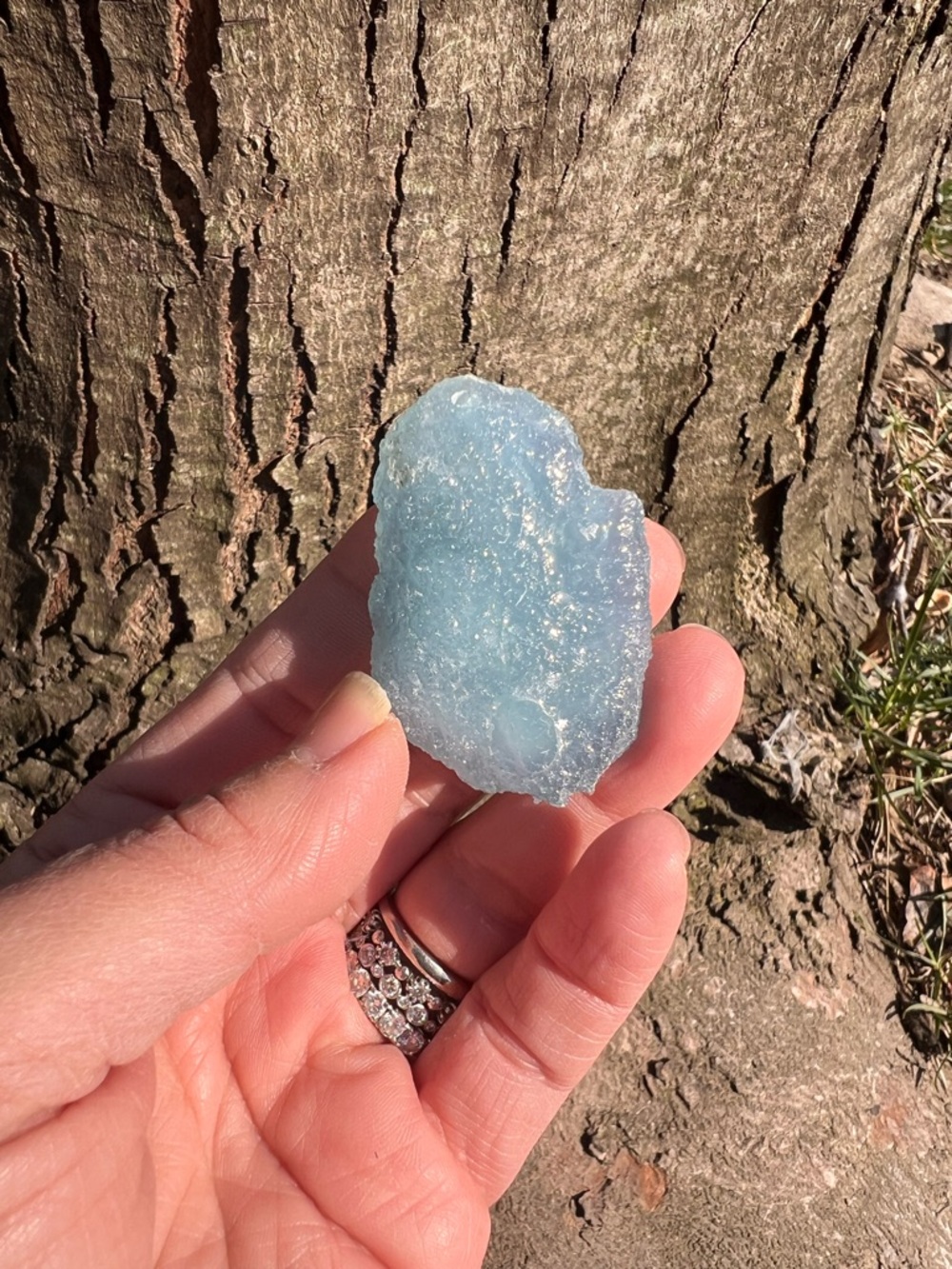Aquamarine (2) specimen / pendant | Crystal
